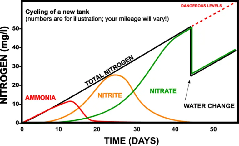 new tank syndrome and nitrogen cycle chart of test results