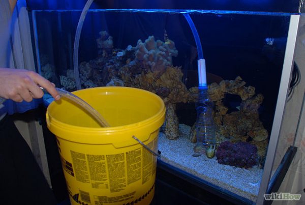 a-simple-reef-aquarium-maintenance-schedule