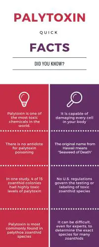 palytoxin quick facts