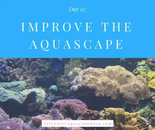 improve the aquascape
